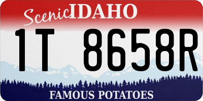 ID license plate 1T8658R