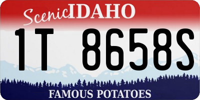 ID license plate 1T8658S