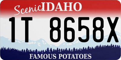 ID license plate 1T8658X