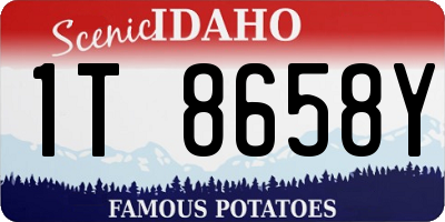 ID license plate 1T8658Y