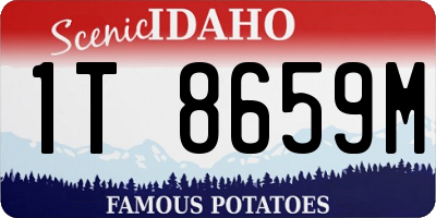ID license plate 1T8659M