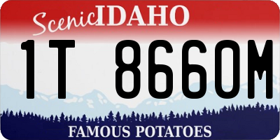 ID license plate 1T8660M