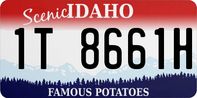 ID license plate 1T8661H
