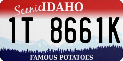 ID license plate 1T8661K
