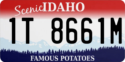 ID license plate 1T8661M