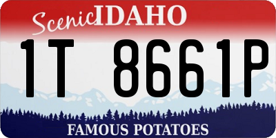 ID license plate 1T8661P