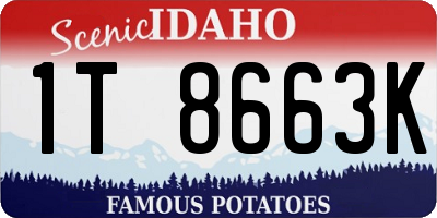 ID license plate 1T8663K