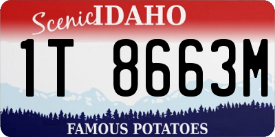 ID license plate 1T8663M