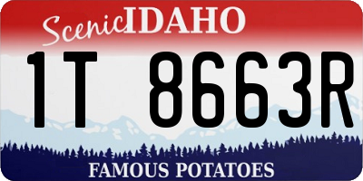 ID license plate 1T8663R