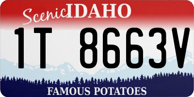 ID license plate 1T8663V
