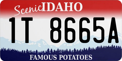 ID license plate 1T8665A