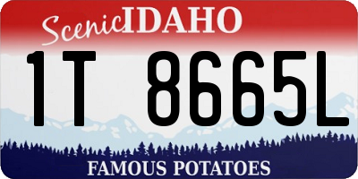 ID license plate 1T8665L