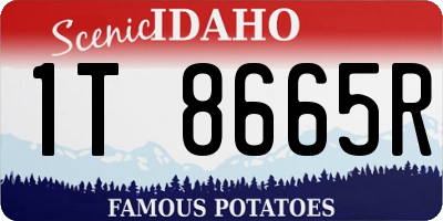 ID license plate 1T8665R