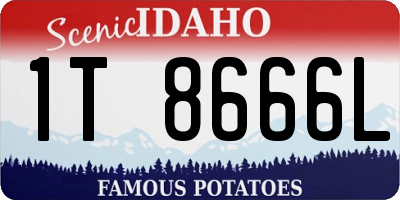 ID license plate 1T8666L