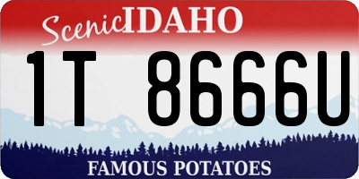 ID license plate 1T8666U