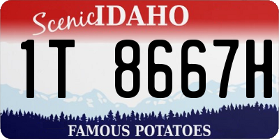ID license plate 1T8667H
