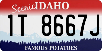 ID license plate 1T8667J
