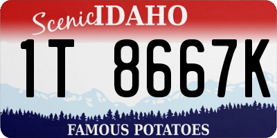 ID license plate 1T8667K