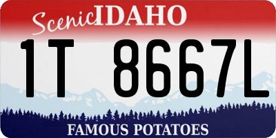 ID license plate 1T8667L
