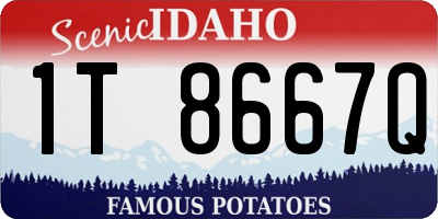 ID license plate 1T8667Q
