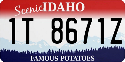 ID license plate 1T8671Z
