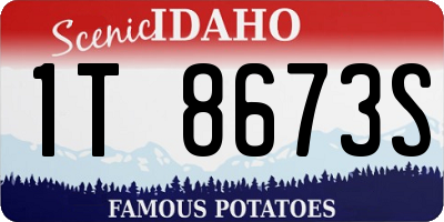 ID license plate 1T8673S
