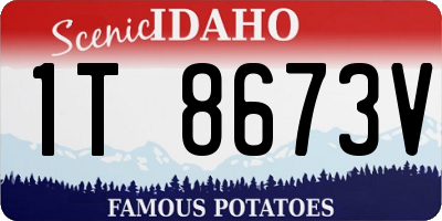ID license plate 1T8673V