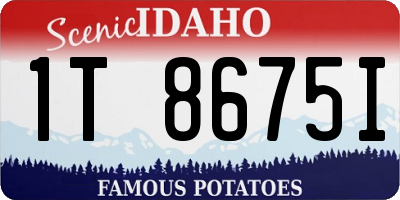 ID license plate 1T8675I