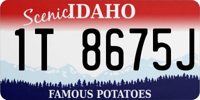 ID license plate 1T8675J