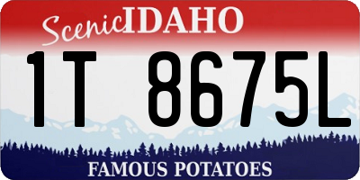 ID license plate 1T8675L