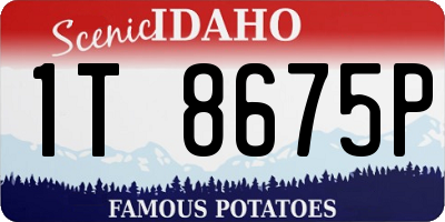 ID license plate 1T8675P
