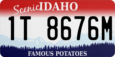 ID license plate 1T8676M