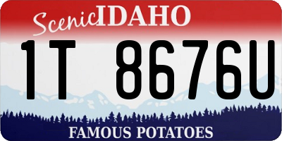 ID license plate 1T8676U