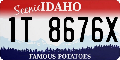 ID license plate 1T8676X