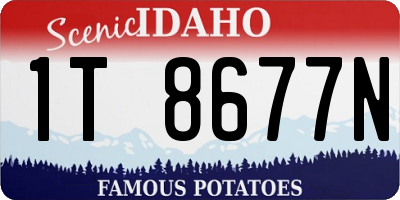 ID license plate 1T8677N