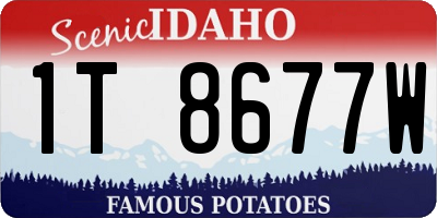 ID license plate 1T8677W