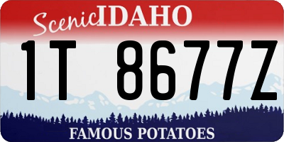 ID license plate 1T8677Z