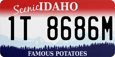 ID license plate 1T8686M