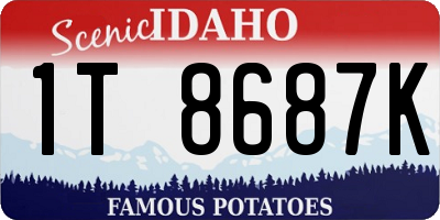ID license plate 1T8687K