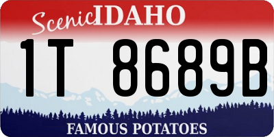 ID license plate 1T8689B