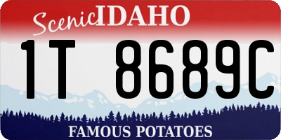 ID license plate 1T8689C