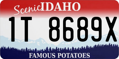 ID license plate 1T8689X