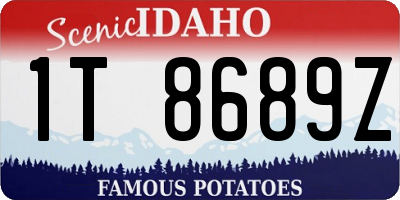 ID license plate 1T8689Z