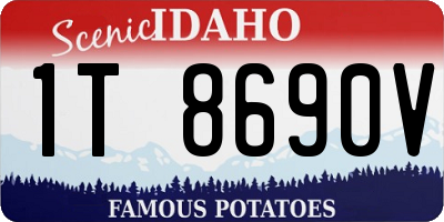 ID license plate 1T8690V