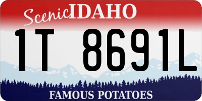 ID license plate 1T8691L