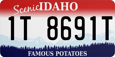 ID license plate 1T8691T