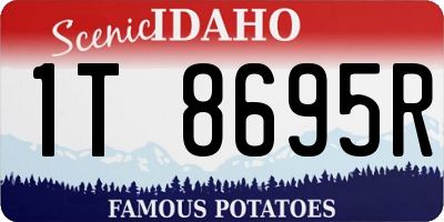 ID license plate 1T8695R