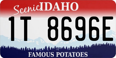 ID license plate 1T8696E