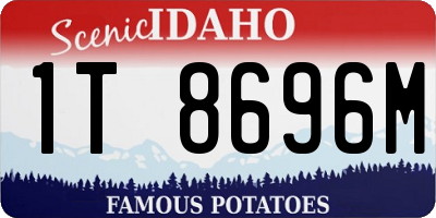 ID license plate 1T8696M