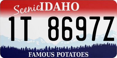 ID license plate 1T8697Z